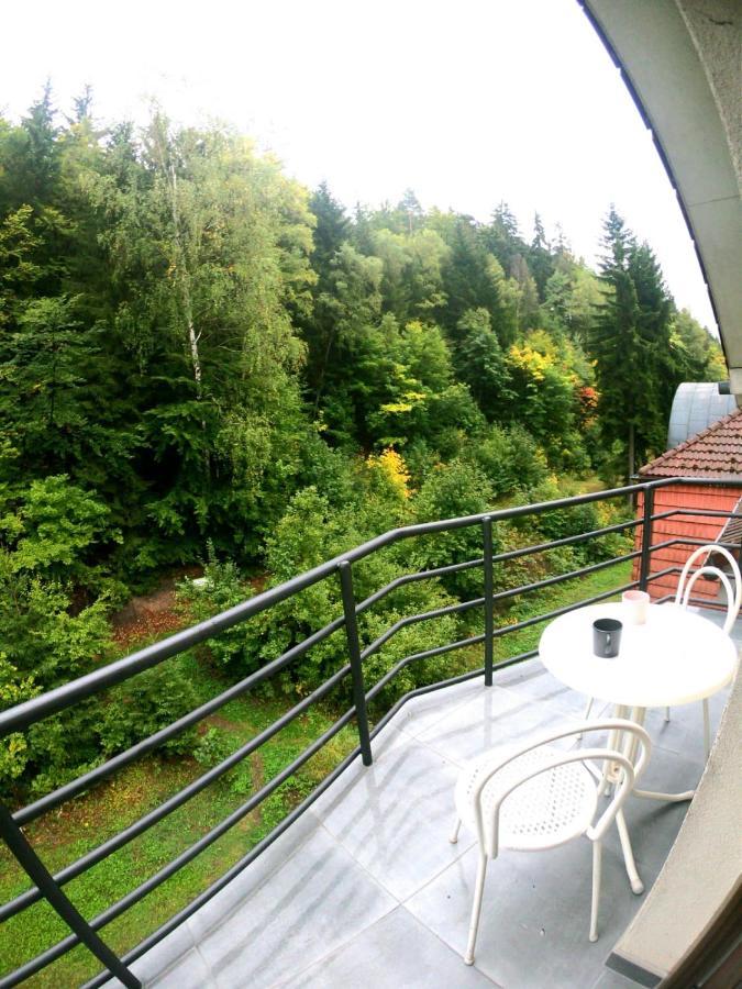 The Mountain Loft Klinovec - With Infrasauna Jáchymov Exterior foto